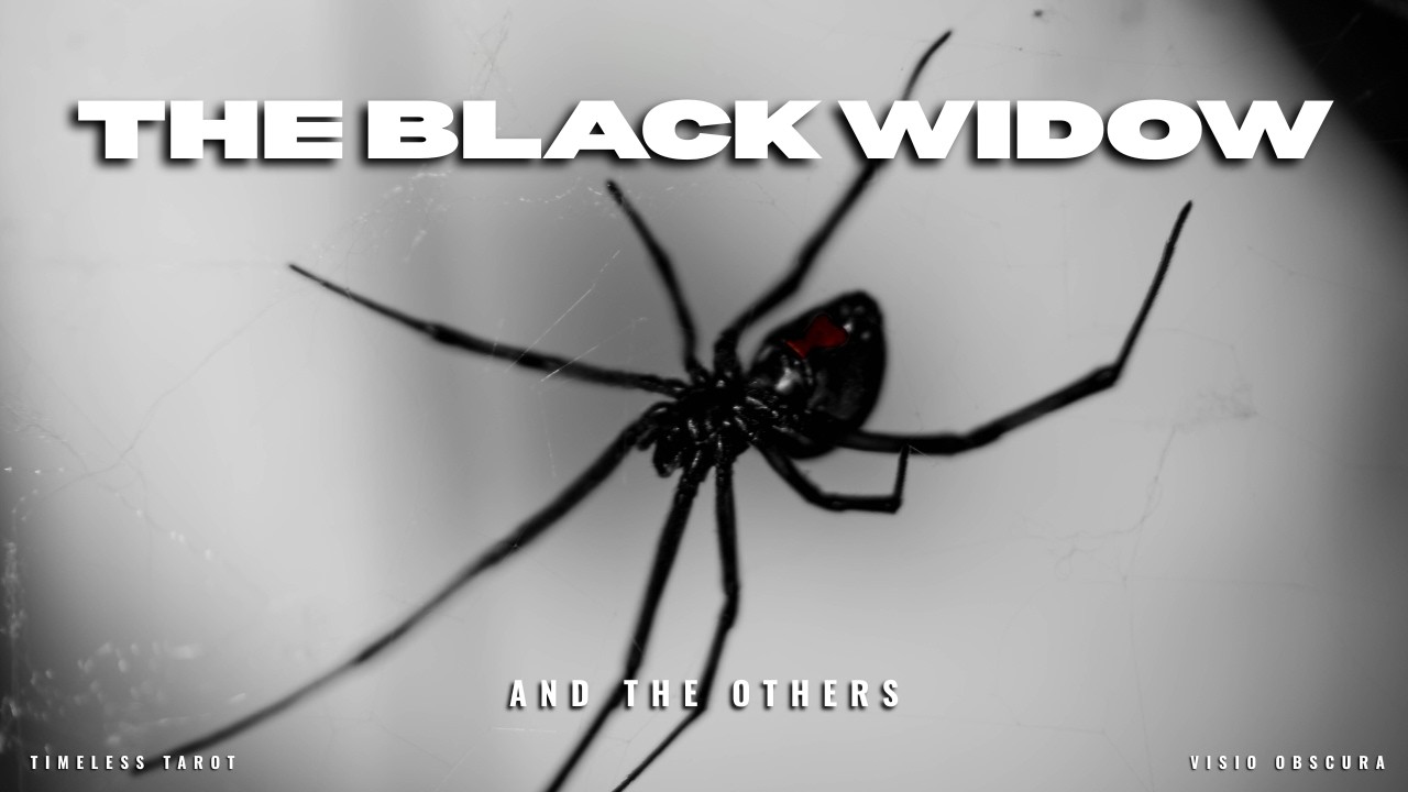 The Black Widow & the Others… 🕷️ | Timeless Tarot Reading 