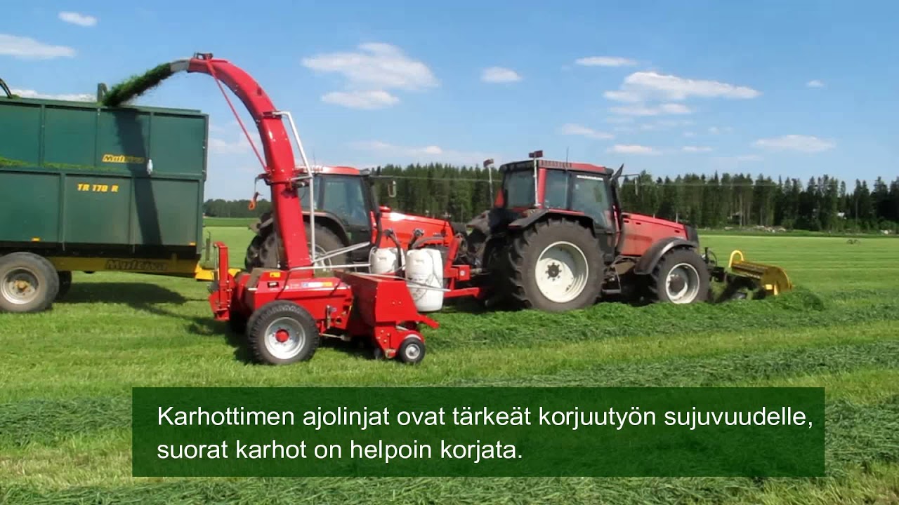 Karhotus