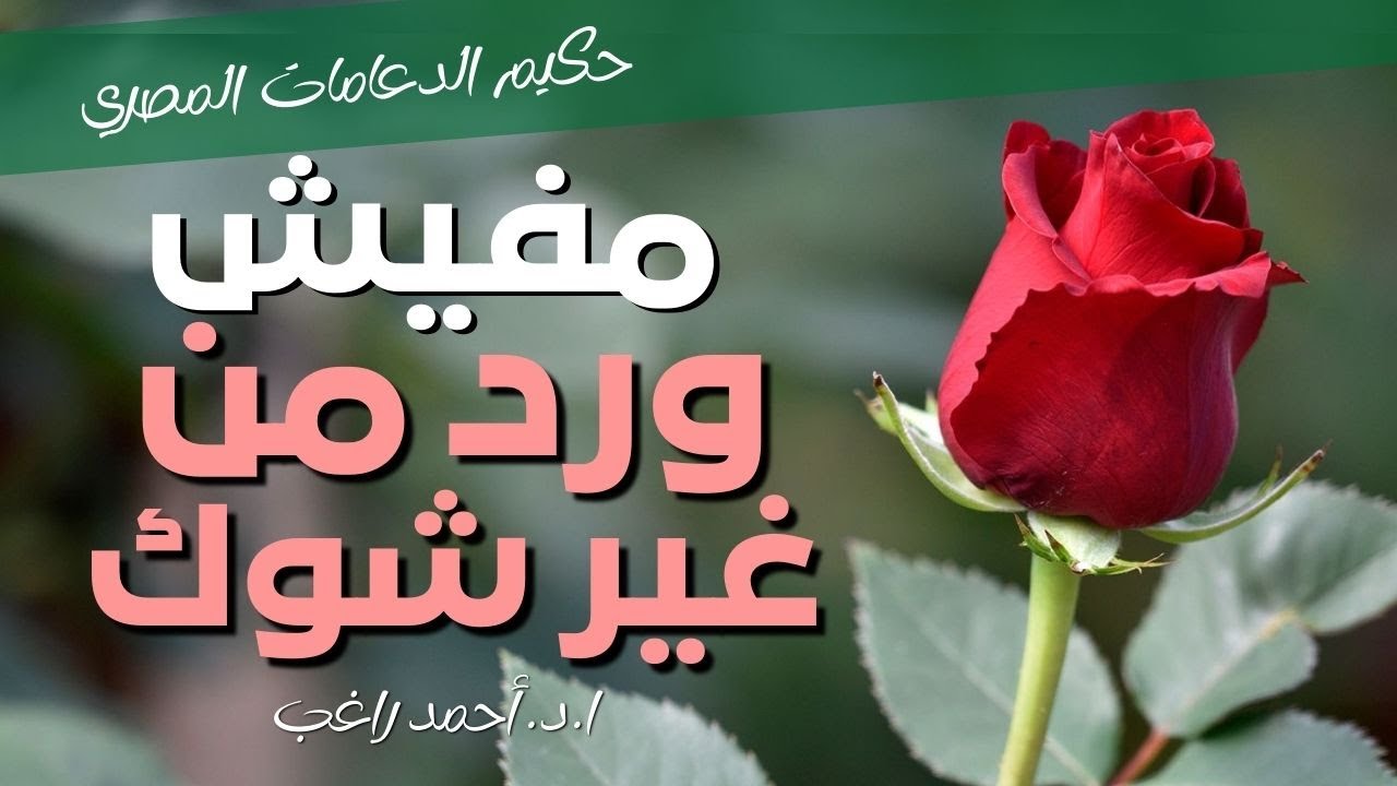 إحساس طبيعي أحياناً أول أيام عملية الدعامة الذكرية - ا.د. أحمد راغب