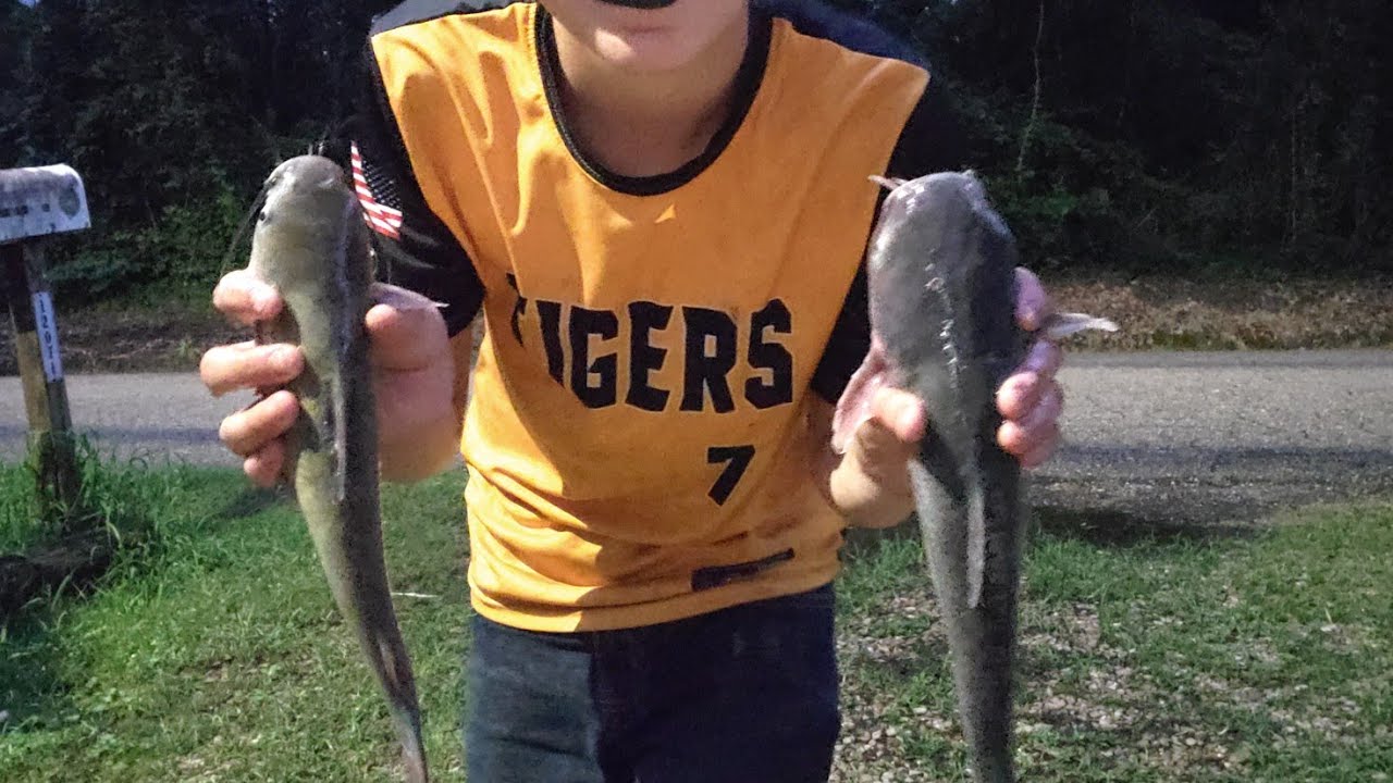 Fishing near Manchac Louisiana 