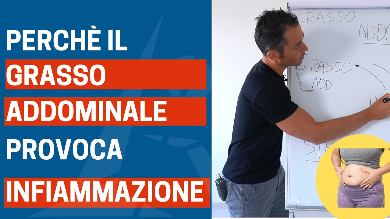 Ecco perchè il GRASSO ADDOMINALE provoca INFIAMMAZIONE (e dolori)