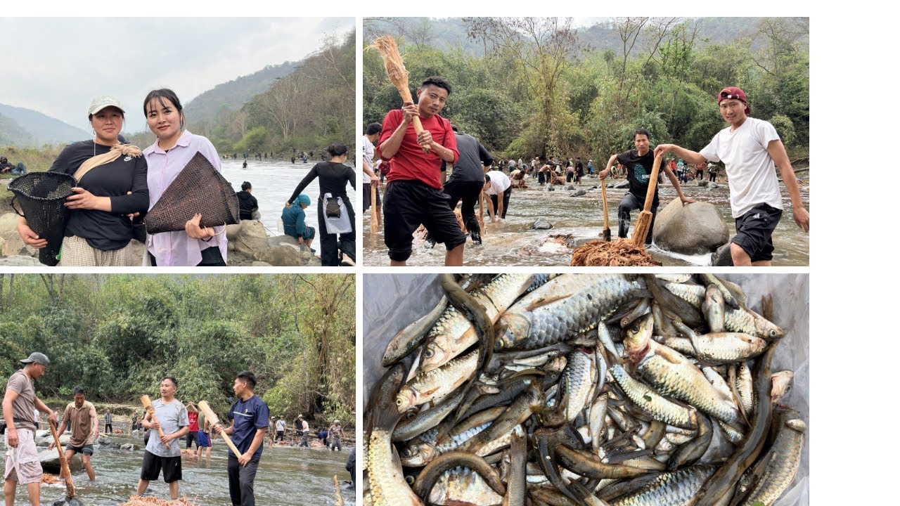 Traditional community fishing Vlog || Western Maram Naga (Willong)