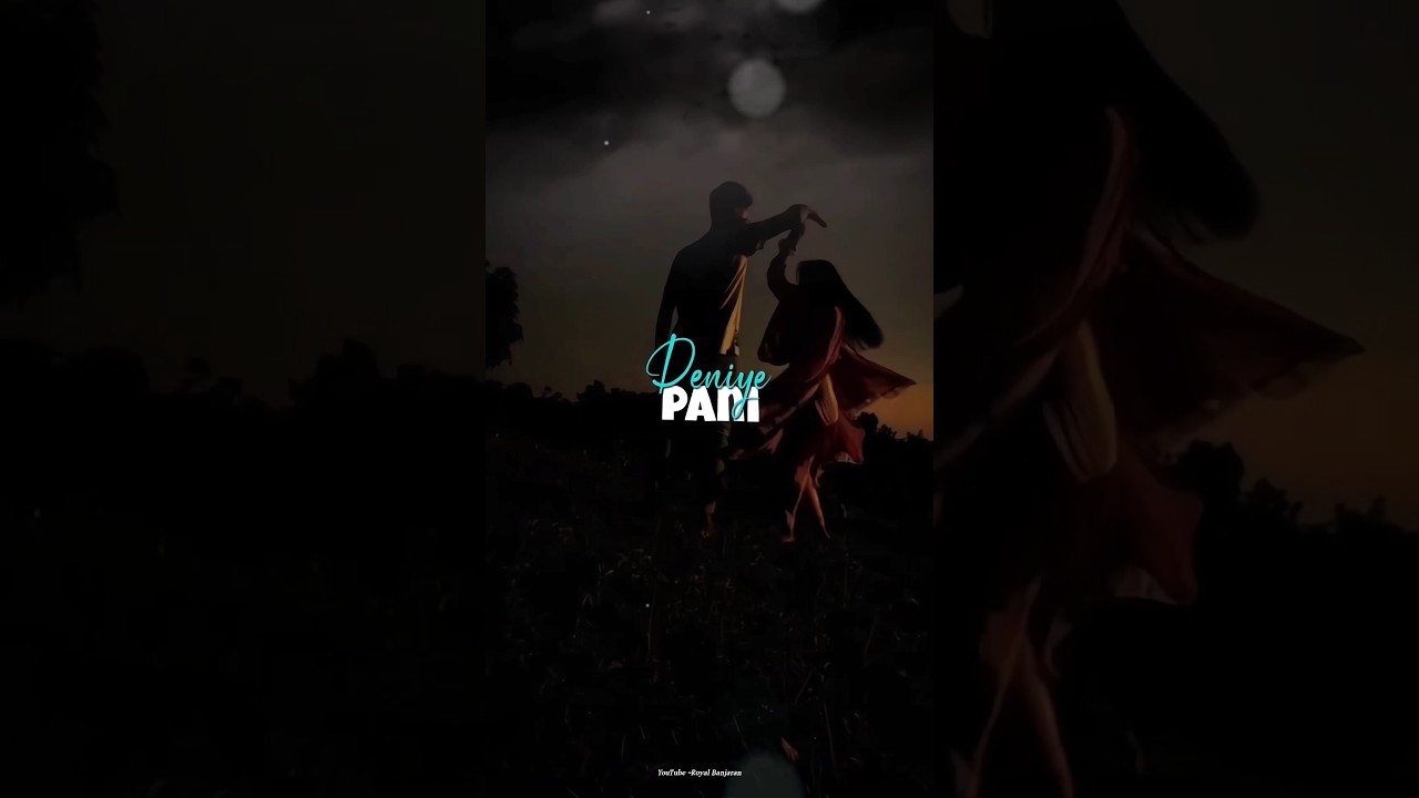 Banjara love  romantic song status YT-royal banjaran #love #143banjara #musicremix #song #banjara