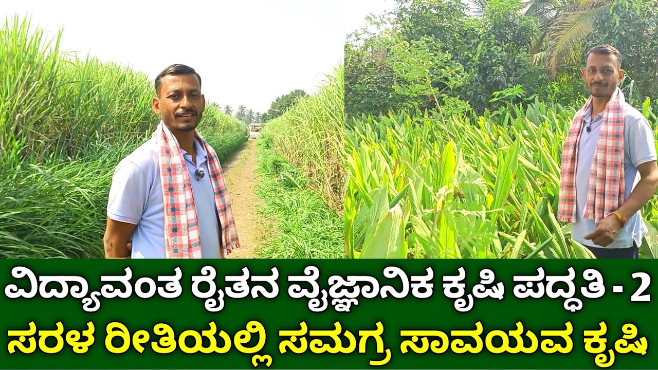 ವಿದ್ಯಾವಂತ ರೈತನ ವೈಜ್ಞಾನಿಕ ಕೃಷಿ - 2 | multi crop agriculture | integrated farming system in kannada
