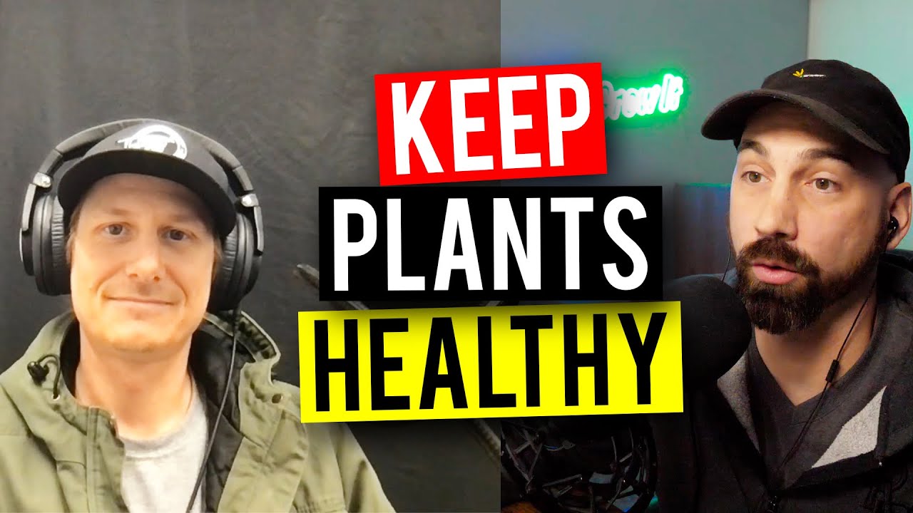 Soil Amendments To Improve Your Garden! (Garden Talk #107)