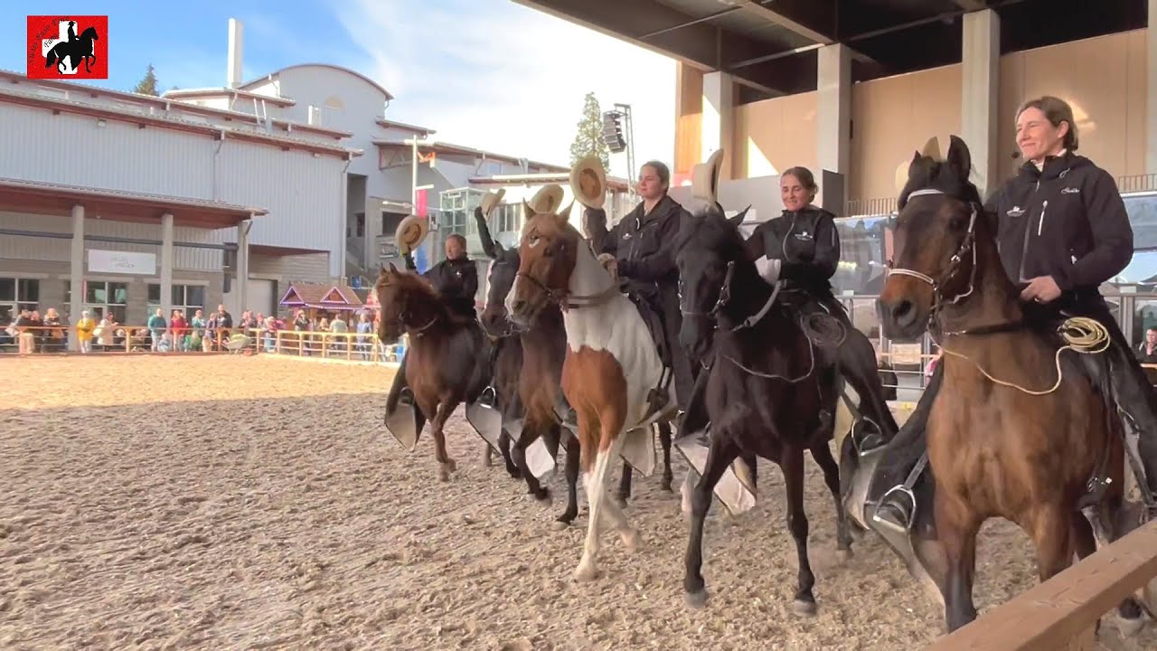 Unsere Farm an der OFFA 2024