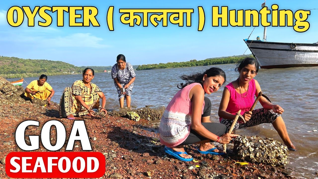 Oyster ( कालवा ) Hunting | Part-3 | Village Life of Goa | Goan Lifestyle, Tradition | Goan Couple