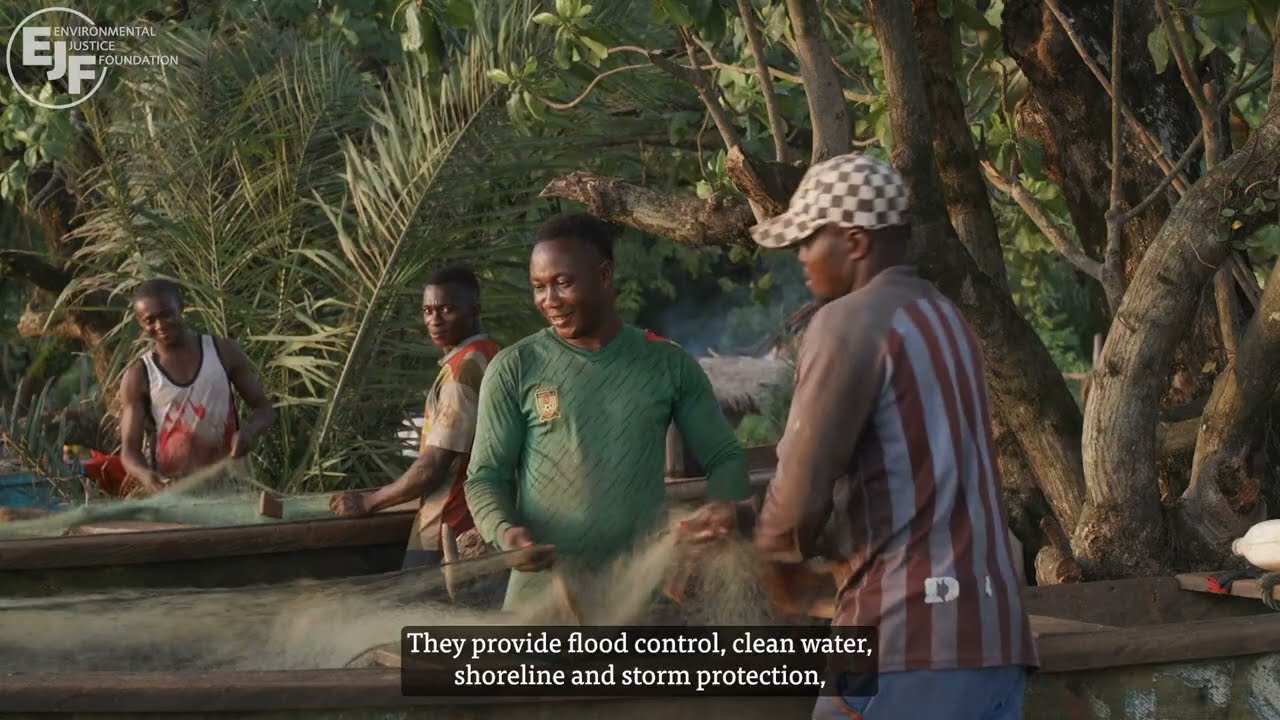 EU Green Week - EU Wetlands Partnership (video by EJF)