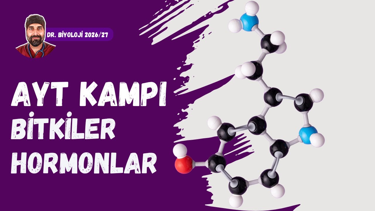 Bitkilesel Hormonlar | Dr. Biyoloji | AYT Dönem 2026 - 2027