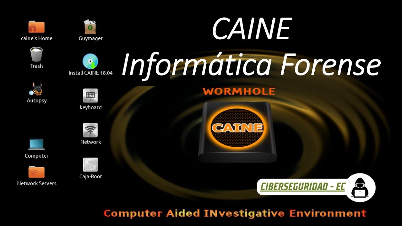 Informática Forense CAINE TUTORIAL  #ciberseguridad #informatica forense #kalilinux #hackingético