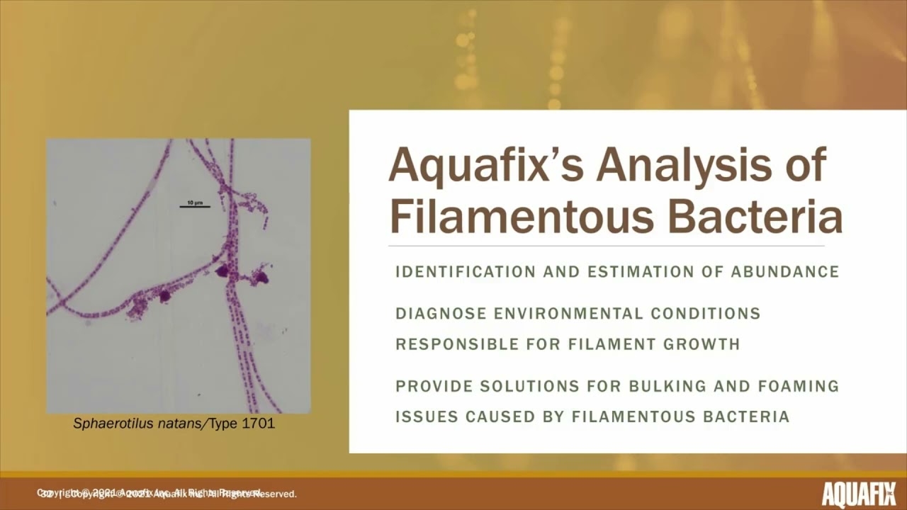 Microscopic Basics to Building Good Floc