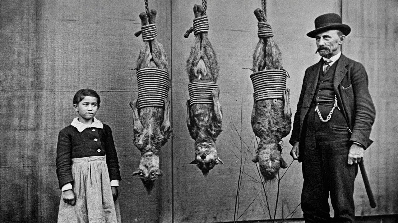 You’re Not Ready for These 100 Banned Old Photos!