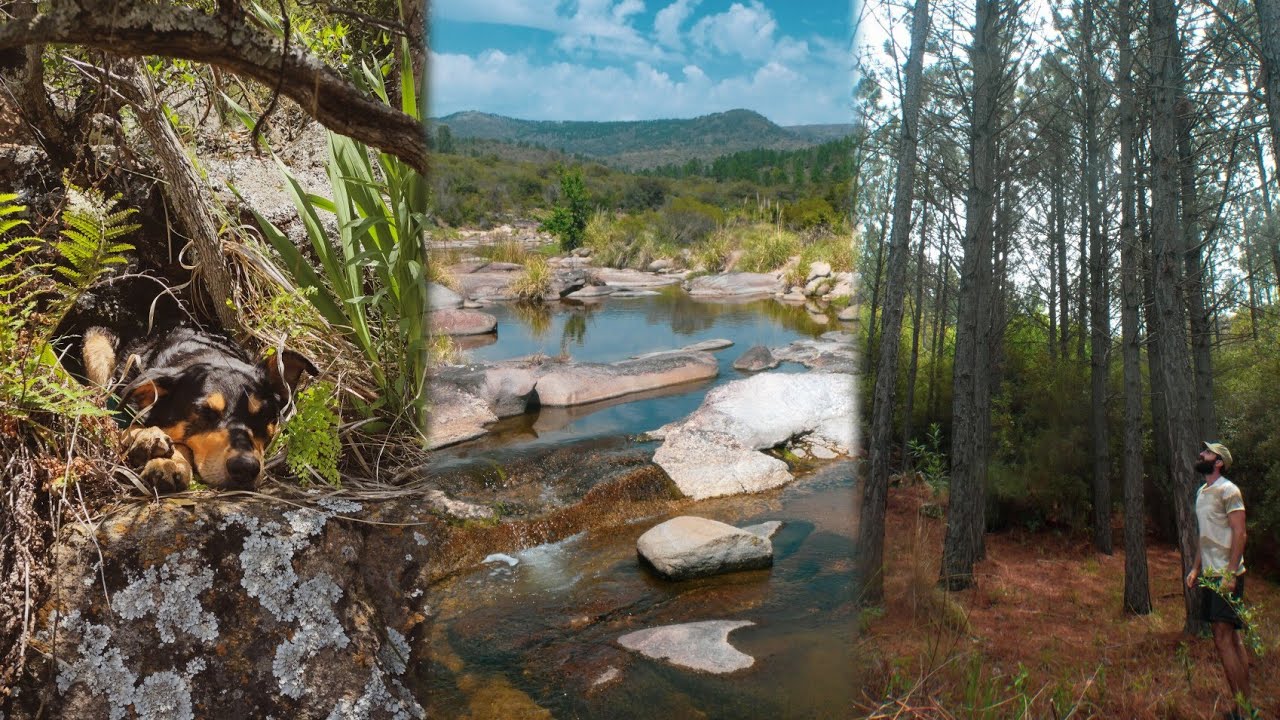 🏕️ Acampe LIBRE en bosque🌲[Sierras de C&oacute;rdoba,  toldos refugio]