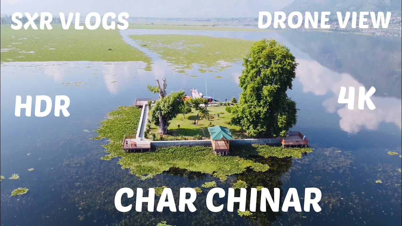 All About Char Chinar | 4 Chinar's of Kashmir | Dal Lake | Srinagar | OMAR ISMAIL VLOGS