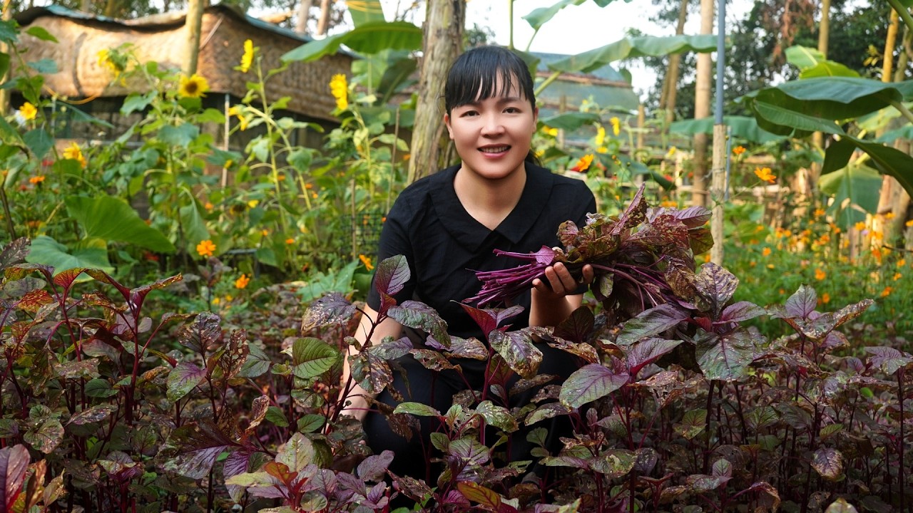 Эми собирает красный шпинат, сеет новые семена, ухаживает за курятником. Работа на ферме.