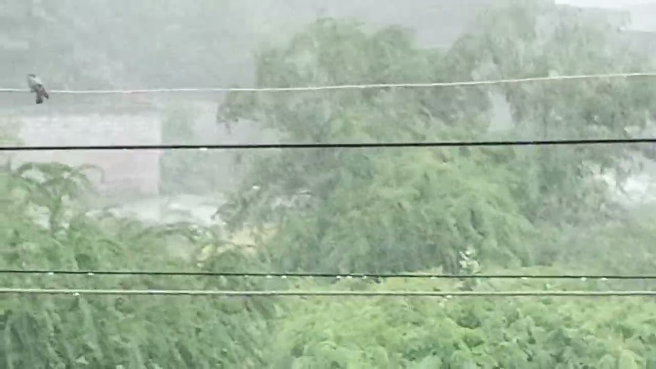 rain in jamkhambhaliya 30/06/2022#rain #khambhaliya