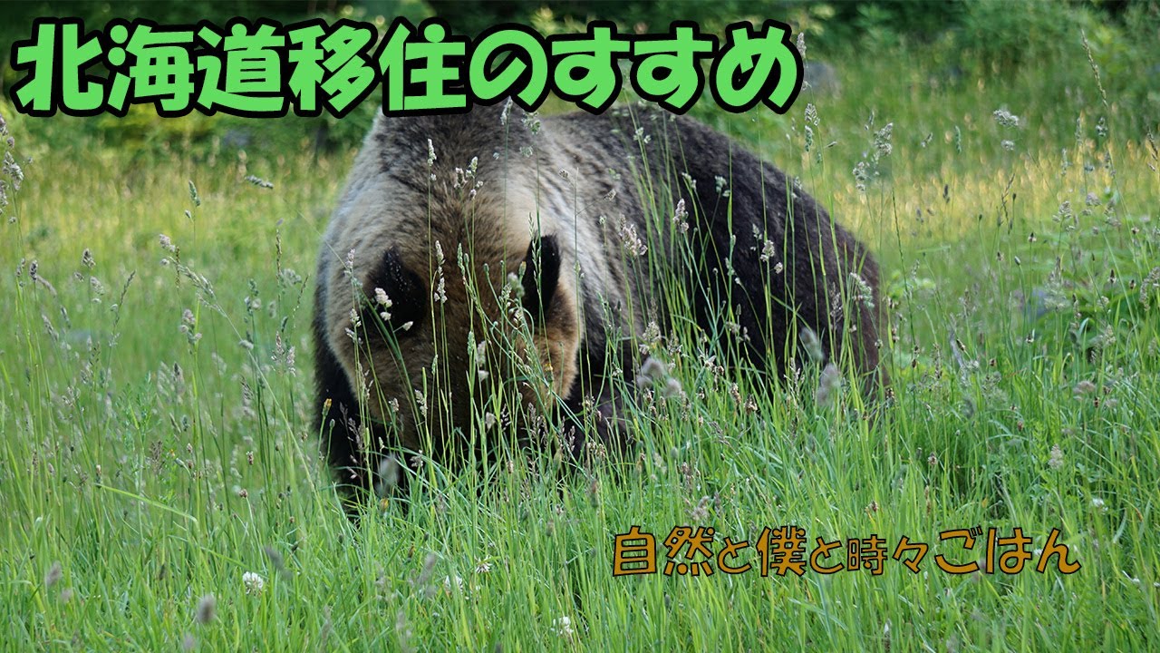 【北海道のいいところ3選！！】北海道移住のすすめ～自然と僕と時々ごはん～