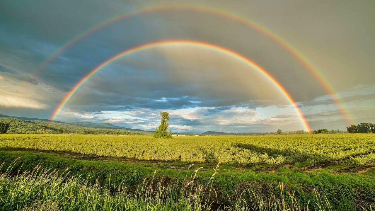 Meditation nach Tara Brach & Jack Kornfield: #24: RAIN für den Umgang mit schwierigen Emotionen