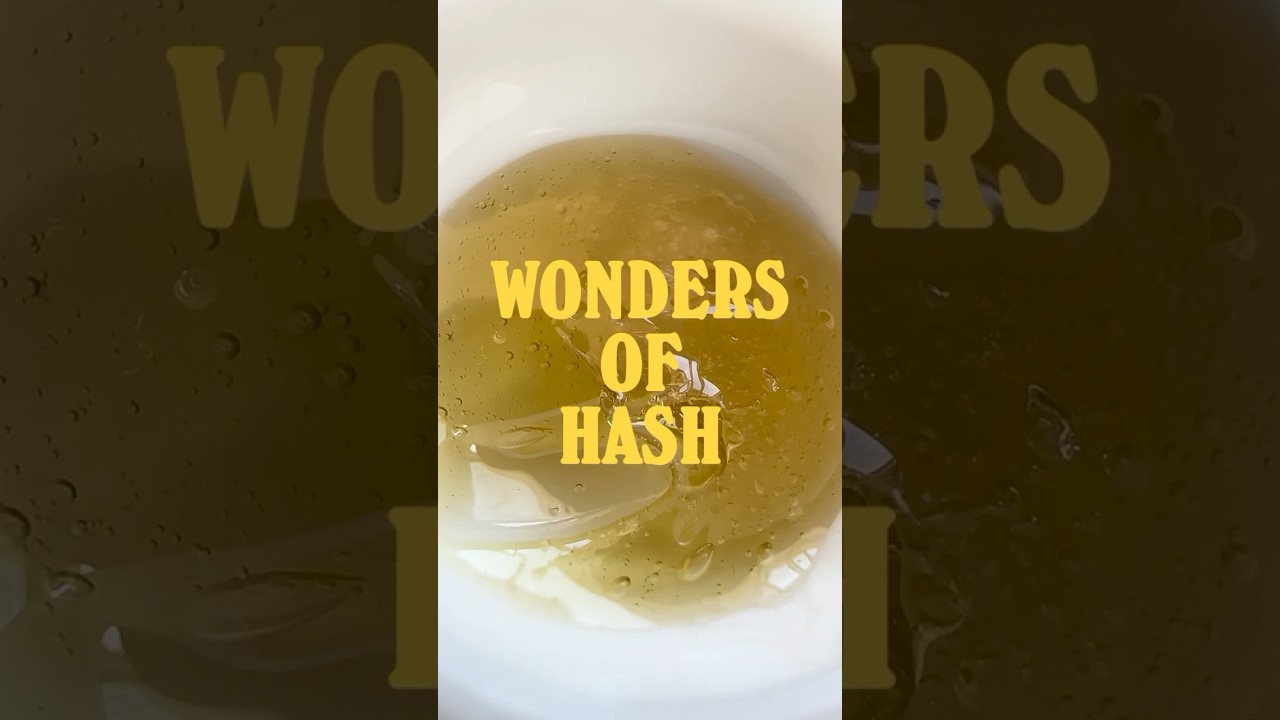 The Wonders of Hash #community #ceo #youtube #puffco #advice #420 #justchatting #business #ama