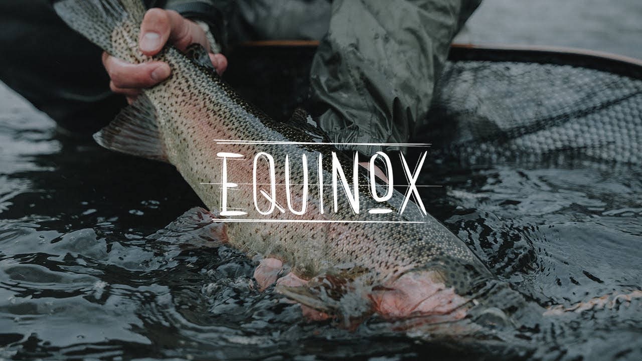 EQUINOX | Testing Kelly Galloup Streamers on the Missouri (Montana Fly Fishing)