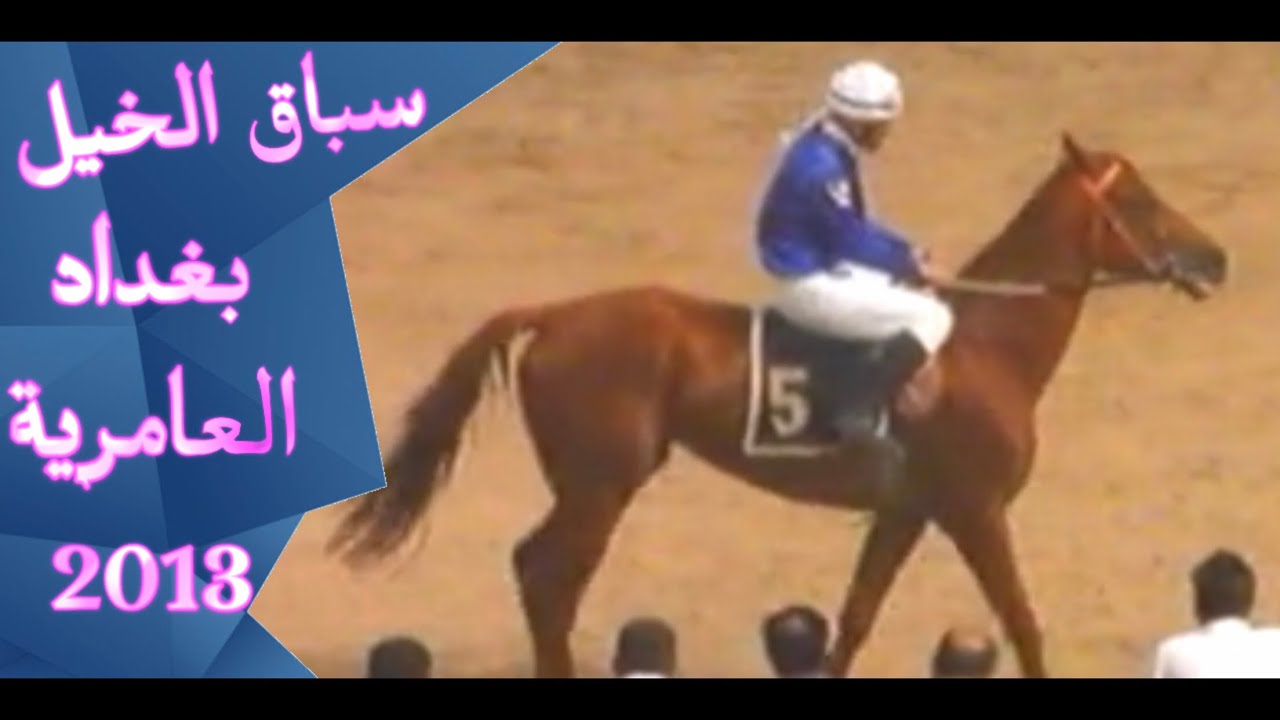 سباق الخيل || الفارس وليد رستم || العراق - بغداد 2013