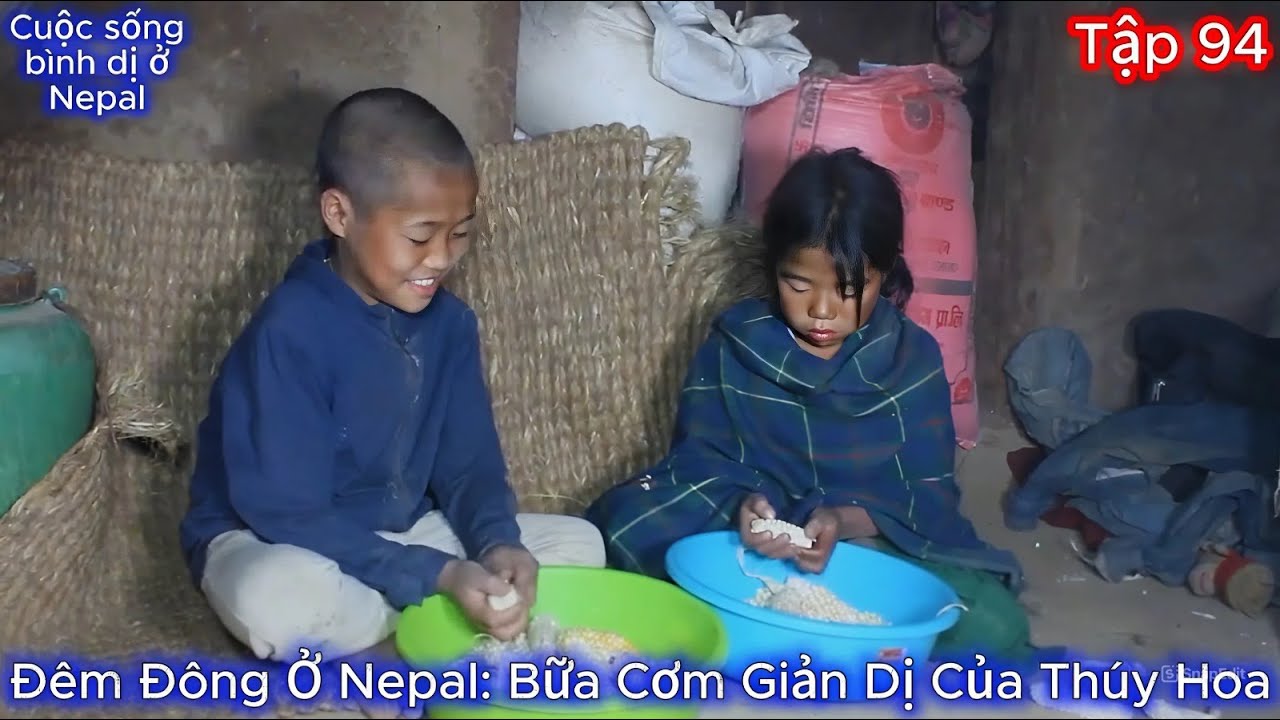 Thúy Hoa Tập 94 - Gia Đình Thúy Hoa: Bữa Ăn Đơn Sơ Và Ý Chí Vươn Lên Giữa Núi Rừng