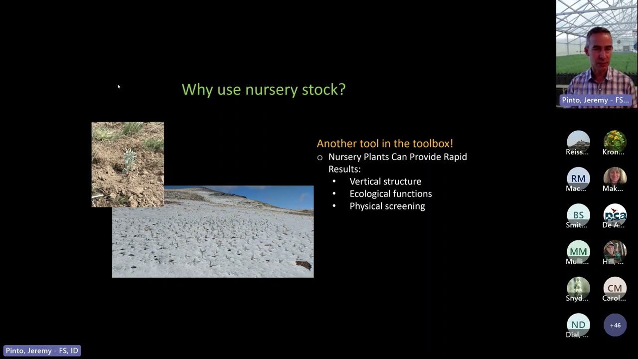 Nursery produced native plant seedlings
