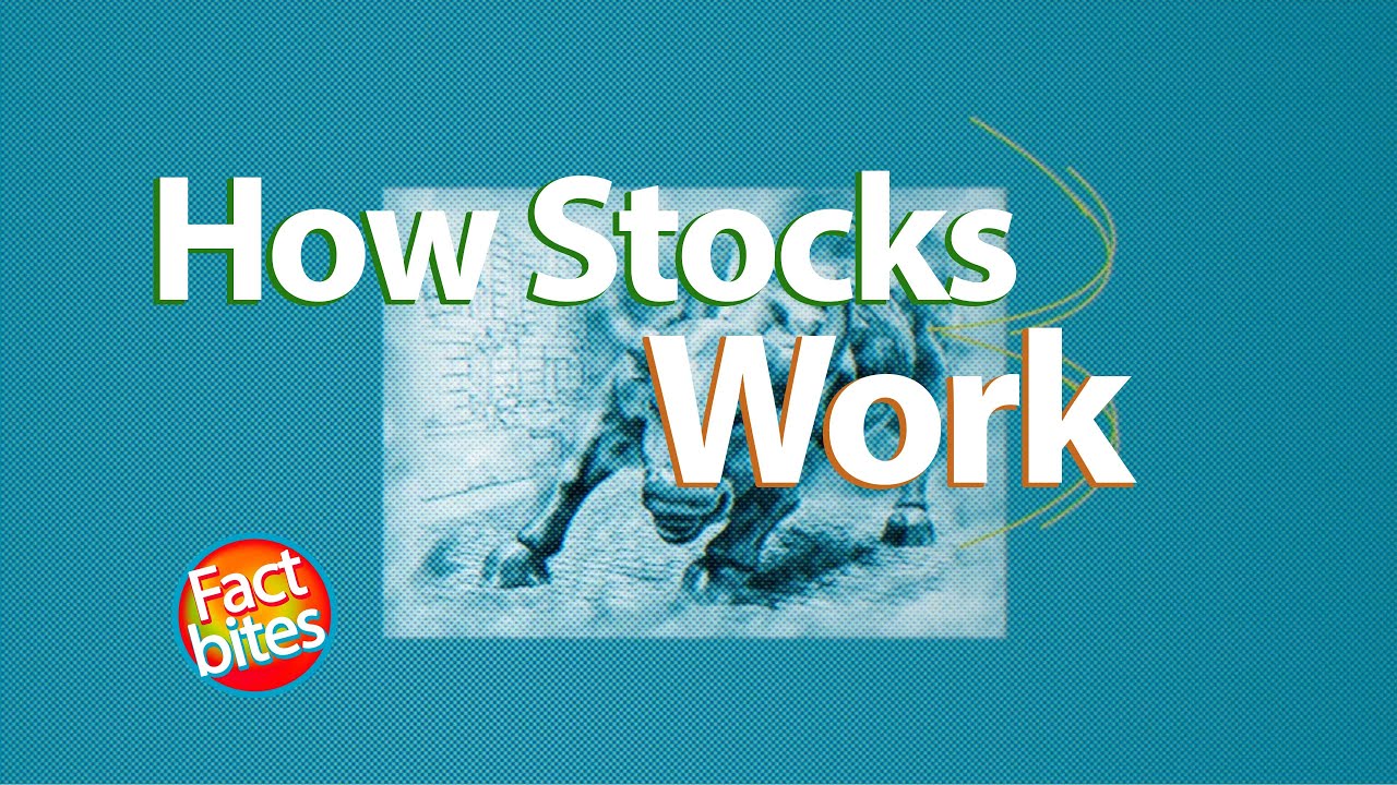 Confused by the Stock Market? Here's How Stocks REALLY Work!