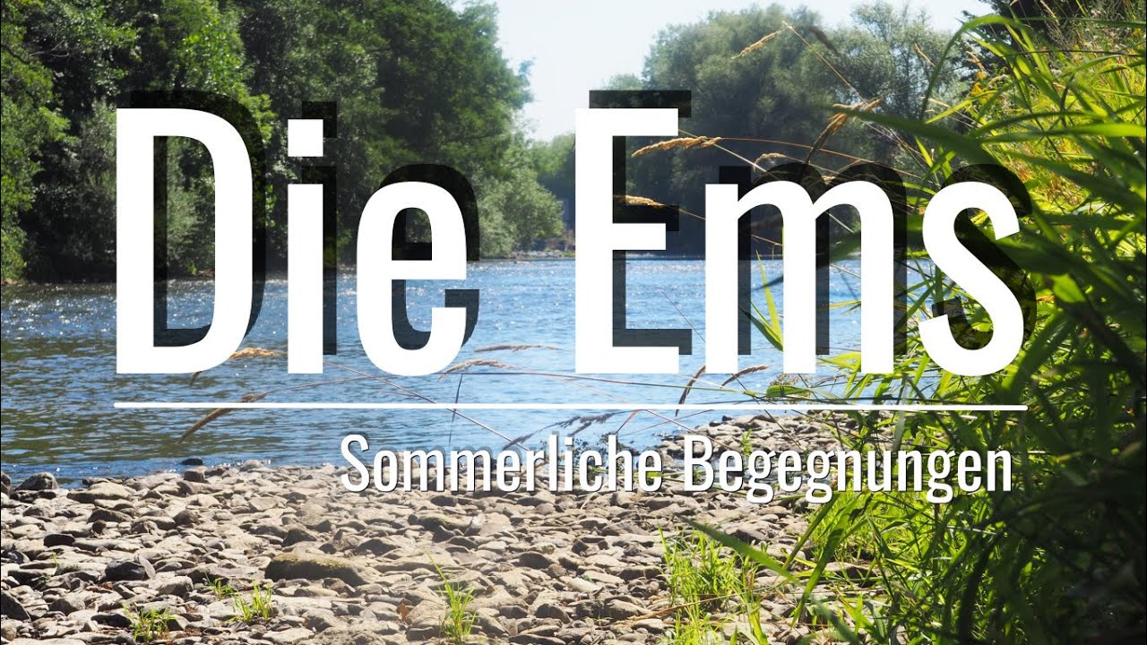 Begegnungen mit der Ems / Sommer 2020