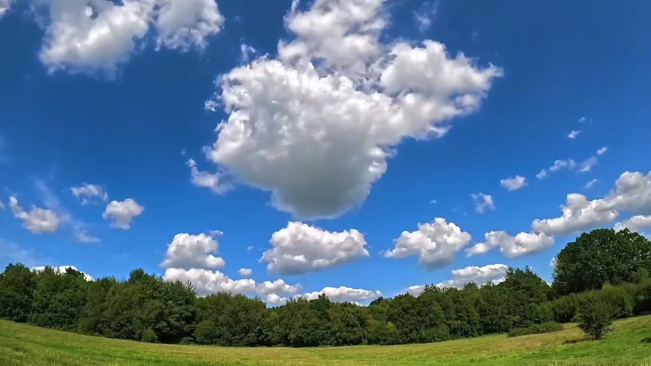 Church Covert, Slaugham, West Sussex #timelapse