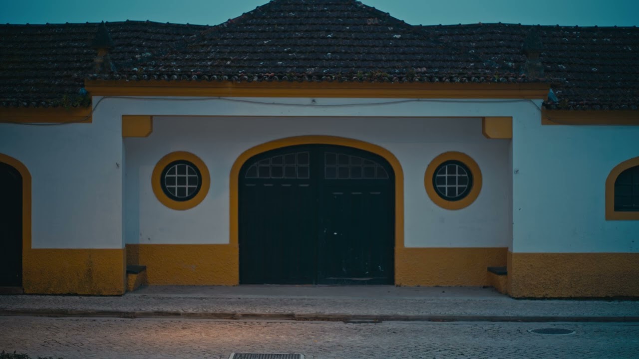 Simple But Pretty #18 ( Sigma FP | Cinema DNG Raw | Canon FD 50mm)