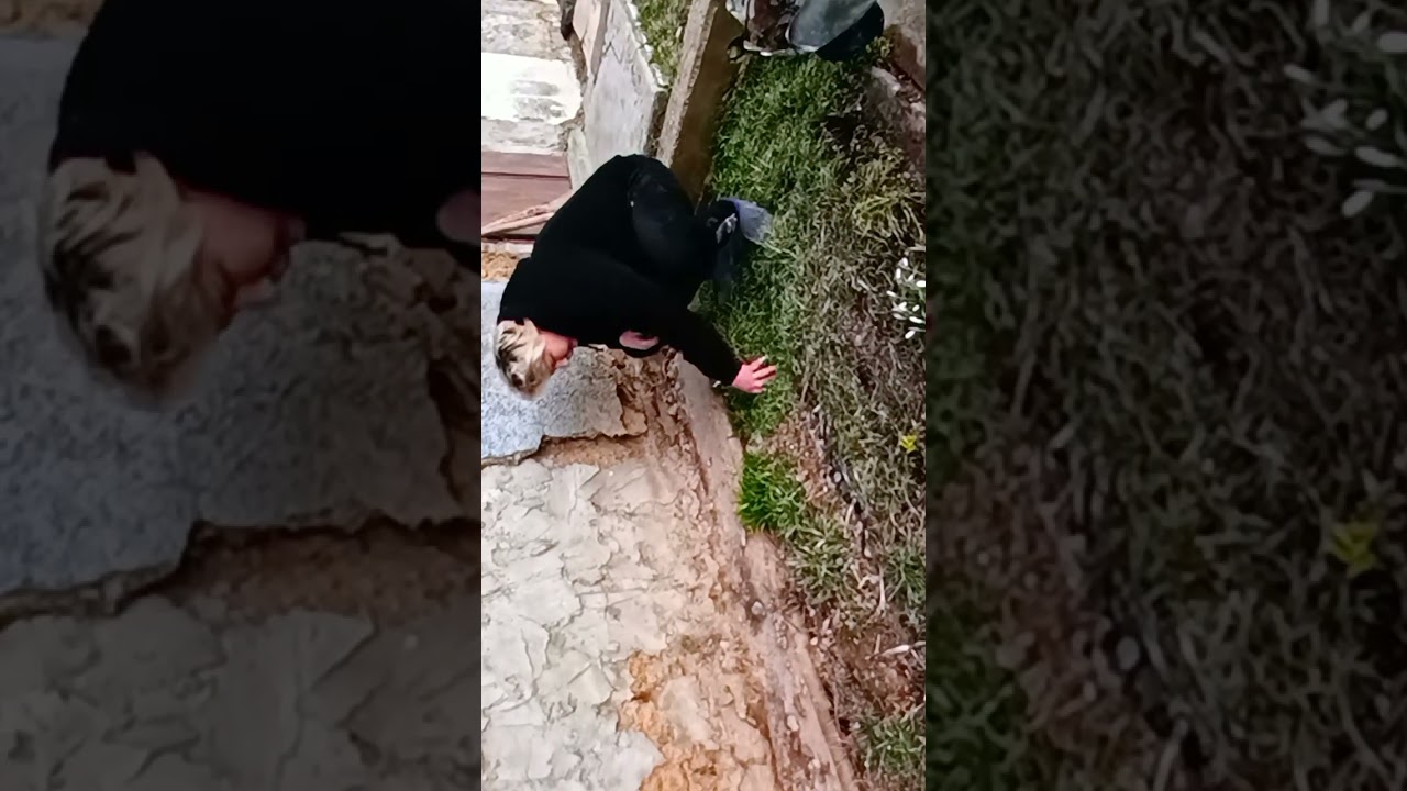 Мы начили уборку с улиц, доидем до кухни и т д. Лето, жара настроение хорошее. Подписку и лайк