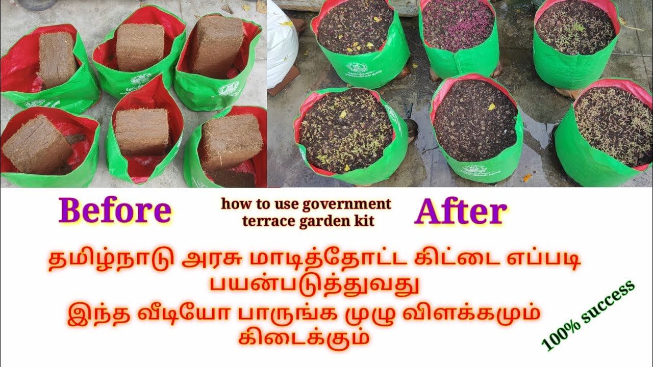 தமிழ்நாடு அரசு மாடித்தோட்ட கிட்டை  எப்படி பயன்படுத்துவது how to use government terrace garden kit