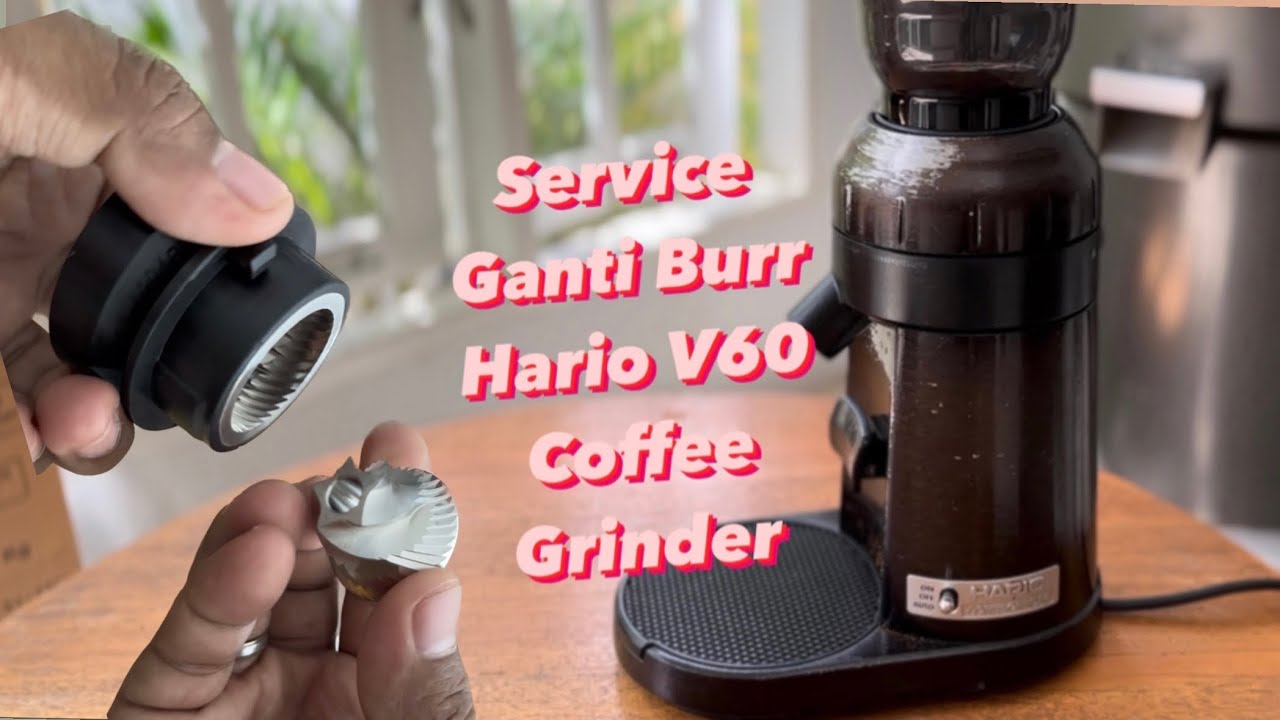 Penting kali ini ‼️Cara Service dan Ganti Burr EVCG-8B Hario V60 Electric Coffee Grinder | Barista