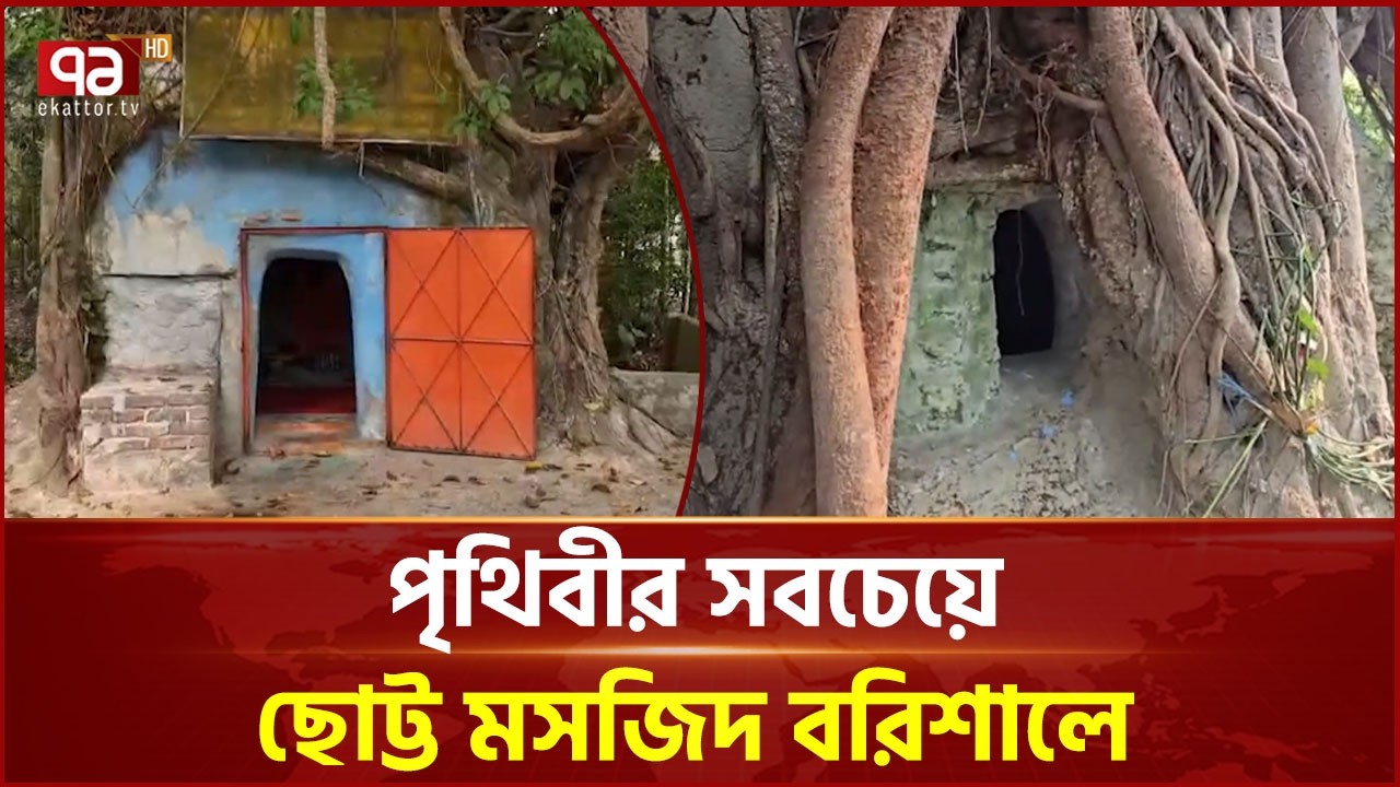 ৫০০ বছরের পুরোনো গাছের নিচে পৃথিবীর সবচেয়ে ছোট্ট মসজিদ | Smallest Mosque | Barishal | Ekattor TV