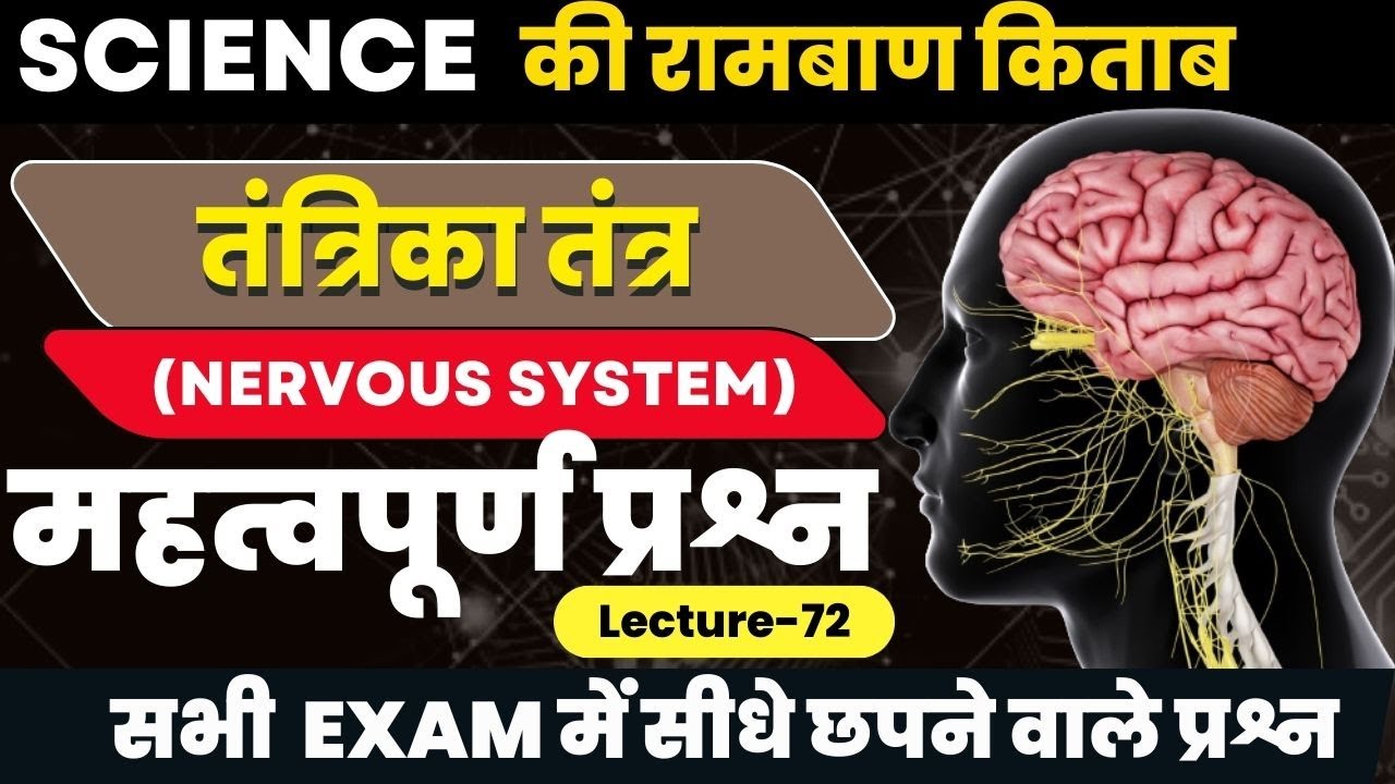 SCIENCE : nervous system  | importent questions | रामबाण किताब टॉपिक 12 | lecture- 72 | BY AKASHSIR