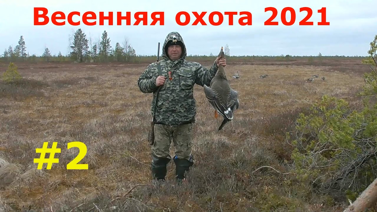 Весенняя охота 2021/охота на гуся/10 дней в тайге/2 часть