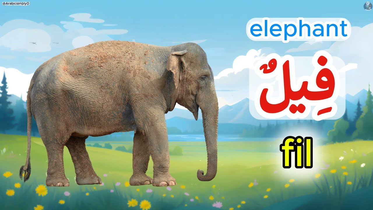 Animals in Arabic (حيوانات) - Learn 50 Animal Names in Arabic (with audio)
