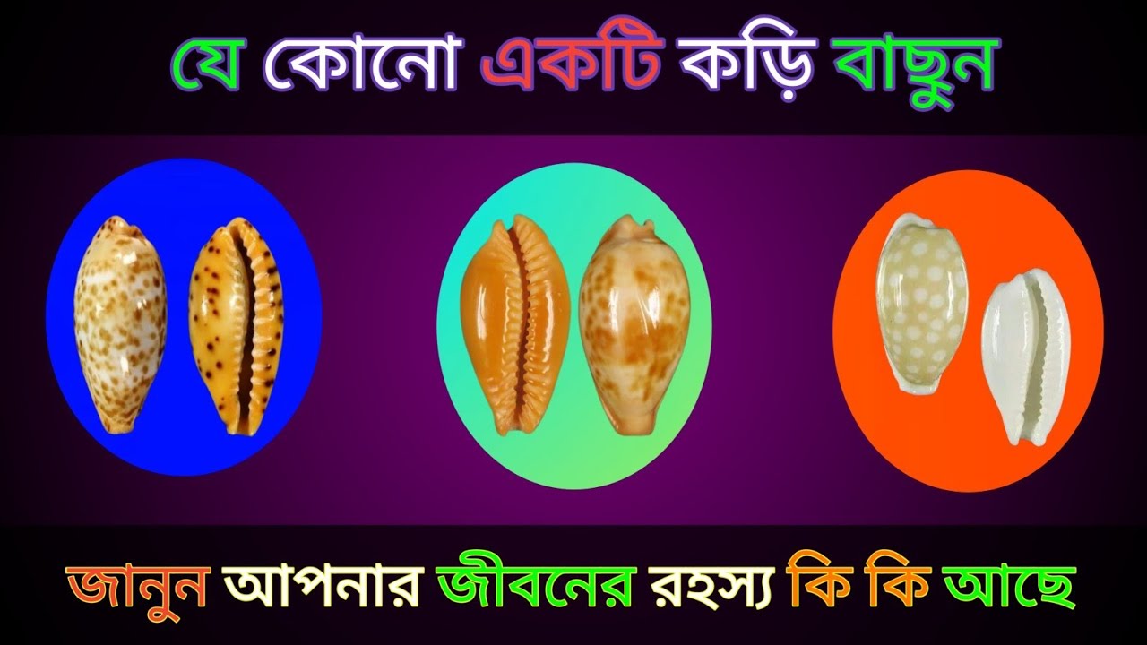  ১টি কড়ি বাছুন জানুন আপনার জীবনের রহস্য কি কি আছে?। bhago pariksha । apni kemon manush। ভাগ্যের পথ 