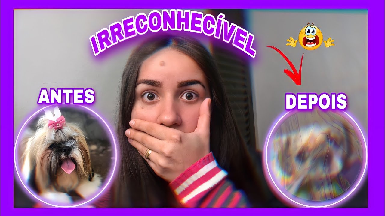 TIVEMOS QUE TOSAR NOSSA SHIH TZU NO ZERO E ELA FICOU IRRECONHECÍVEL 😱