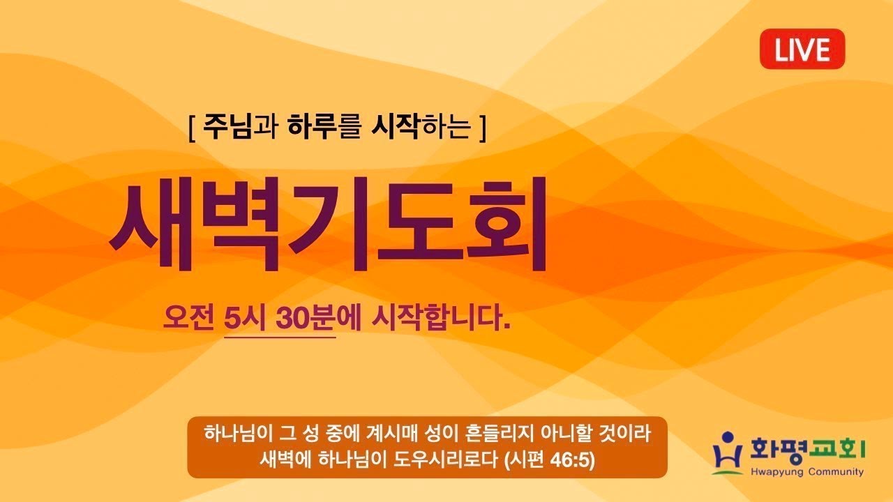 2026년 2월 26일(목) 화평교회 새벽기도회 LIVE