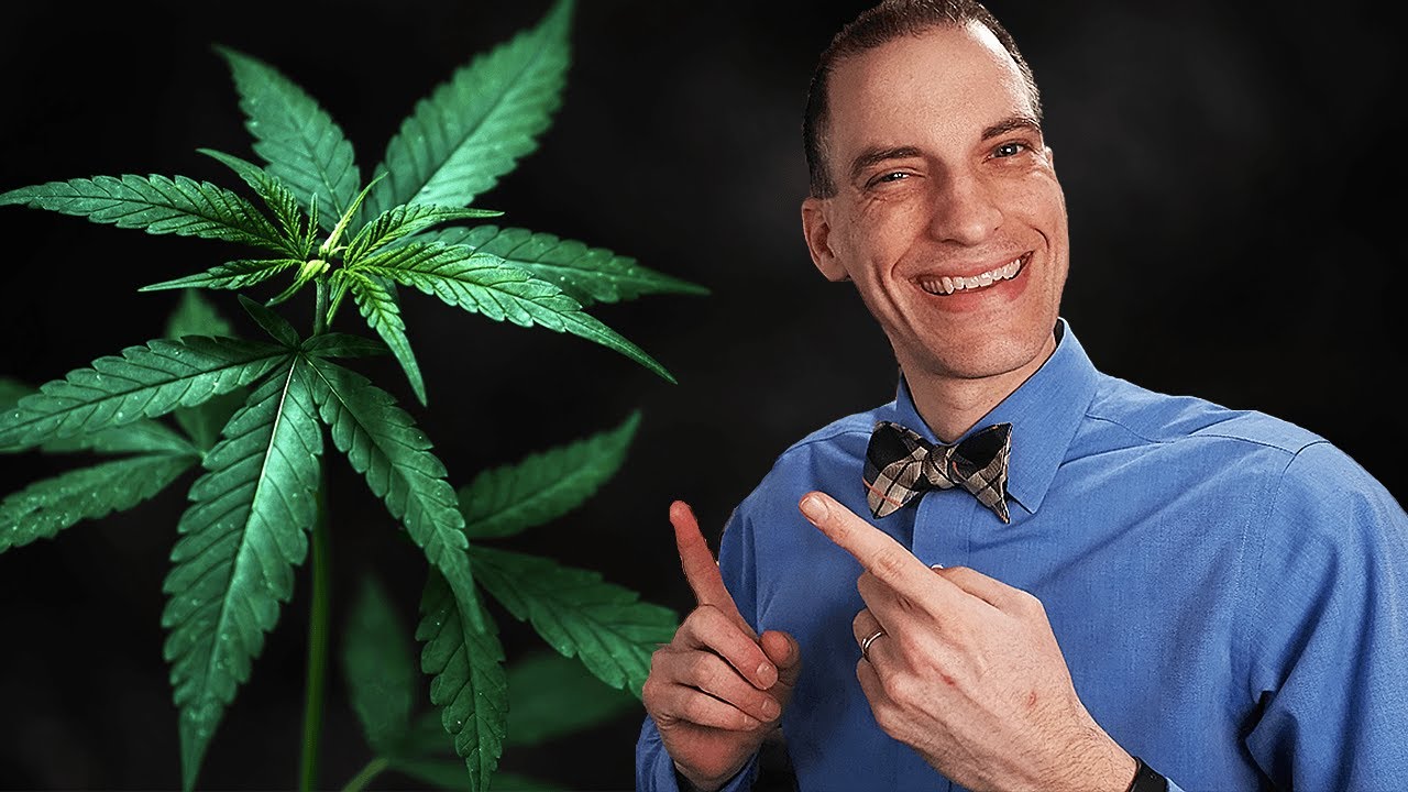 The TRUTH About Marijuana Legalization in Virginia
