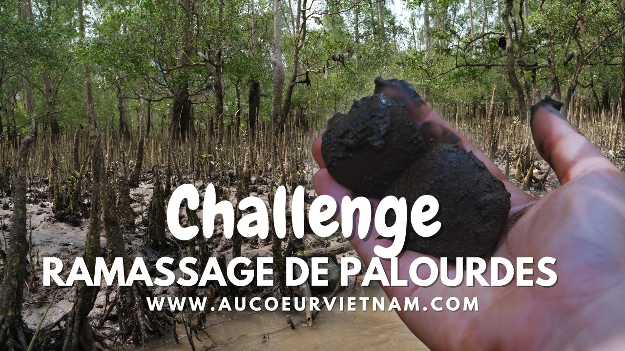 Ramassage de palourdes dans le delta du Mékong