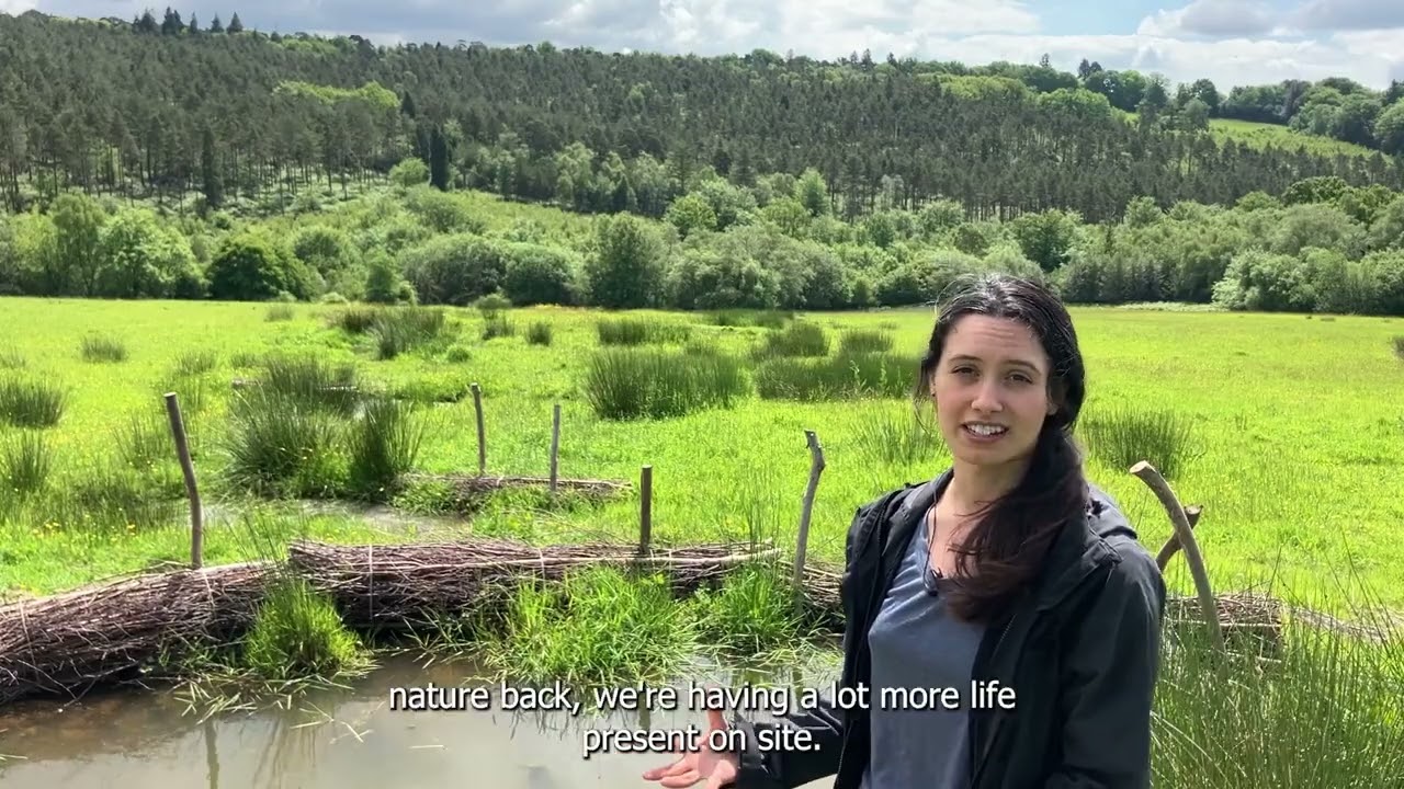 Sussex Wildlife Trust - Wilder Ouse project