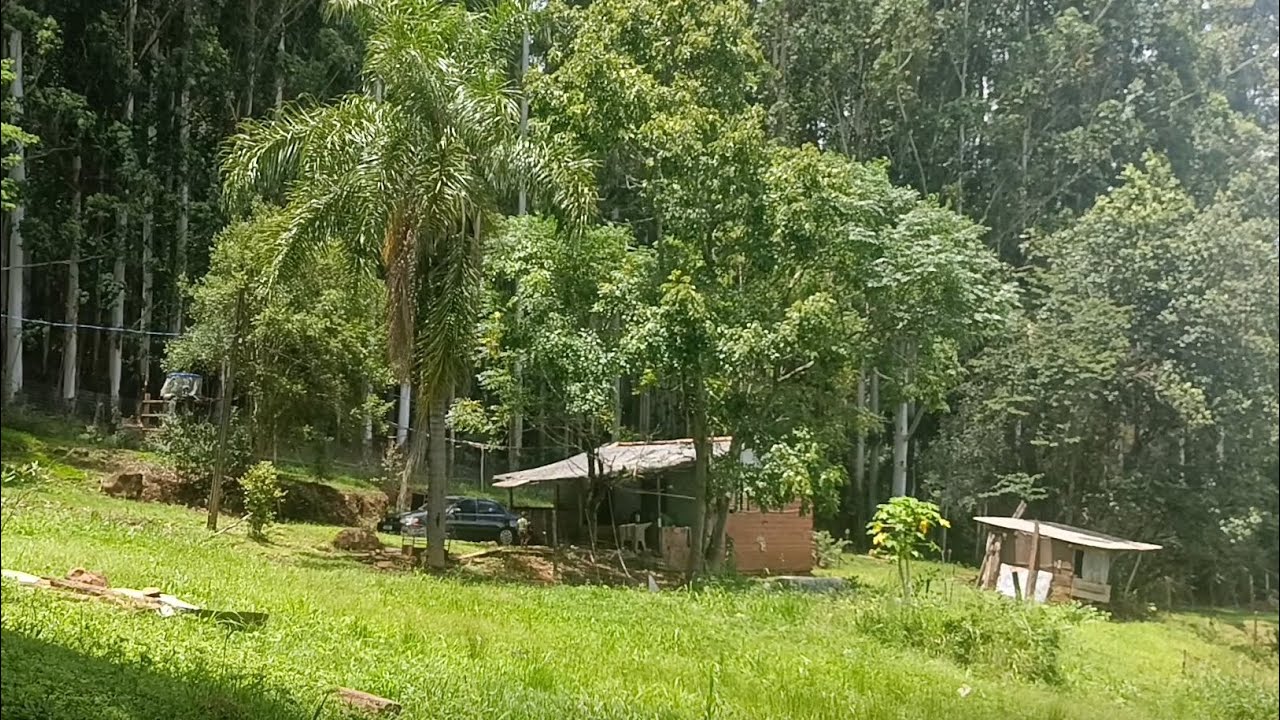 Domingo com a família,nova integrante da família,ensinando um jeito fácil de fazer fogo