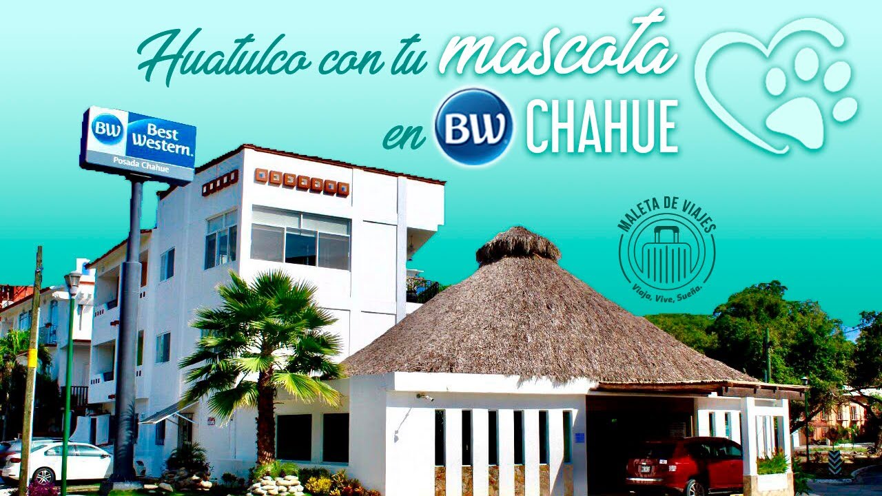 Disfruta Huatulco con tu mascota en Hotel Posada Chahue