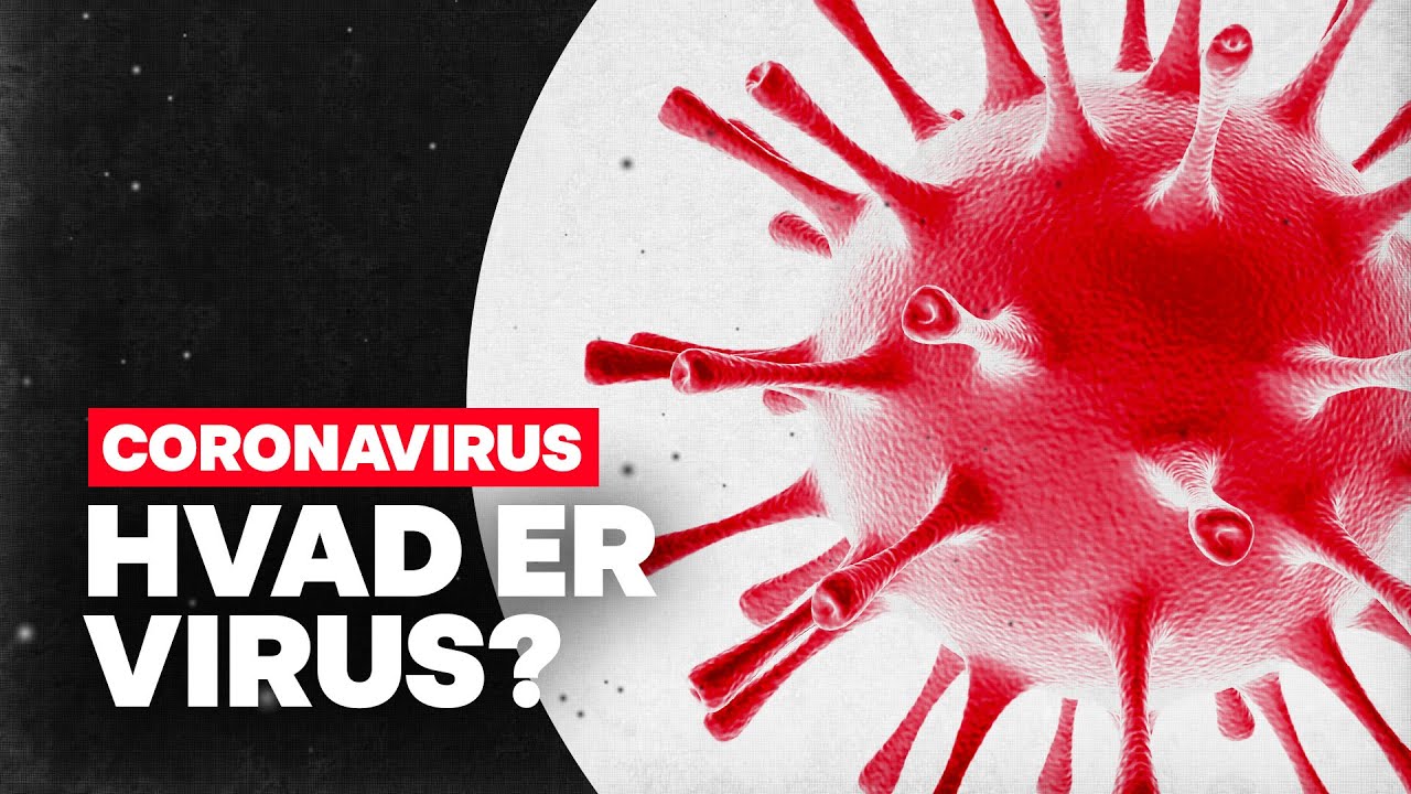 Hvad er virus egentlig?