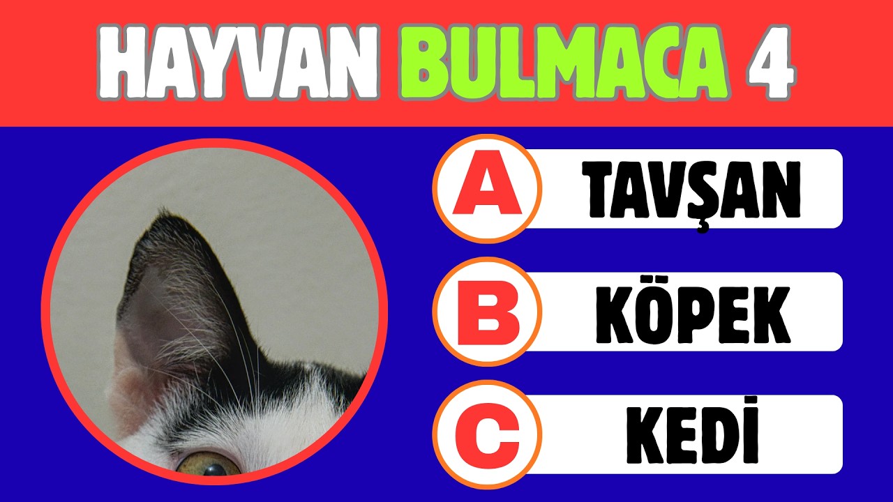 KULAĞINDAN HAYVANI TAHMİN ET? - Hayvan Bulmaca Zor 4 [20 Soru]