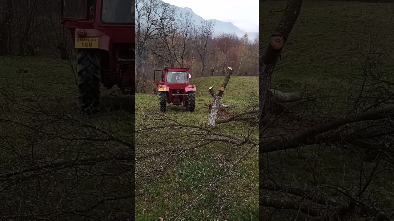 Scoatem un copac din rădăcină (utb 445 dt)