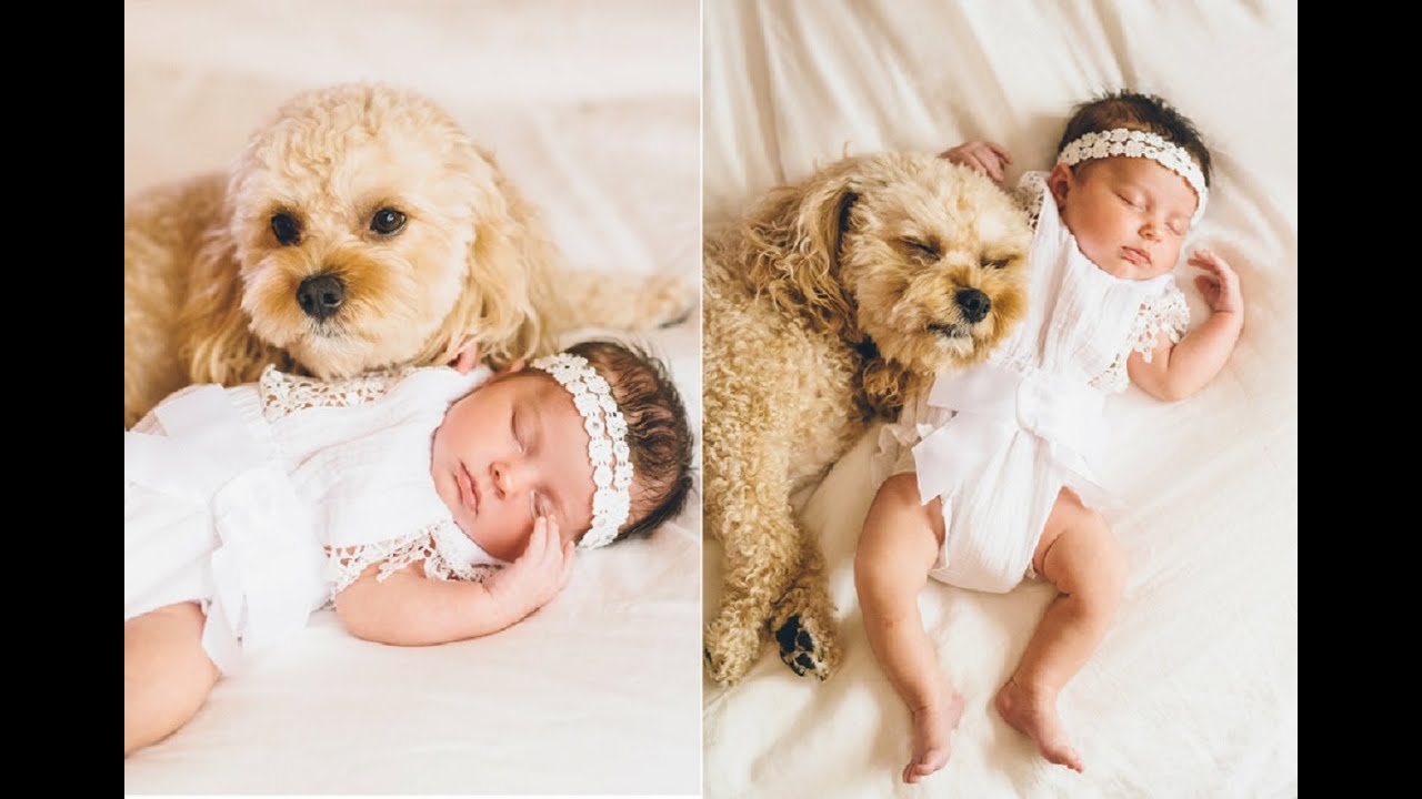 CUTE BABIES SLEEPING WITH DOGS 2021 | Funny Babies And Dogs Videos Compilation